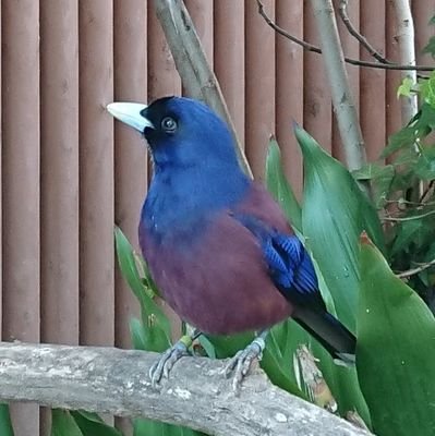 pokanake's profile picture. ゲーム、Ｆ１、コーヒー、散歩と公園を愛する暇人です。