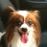 inaka_phper's profile picture. 名古屋で働く元九州の田舎者phper。Laravelやcakephp3で頑張ってます。 https://t.co/V0zGsz81T7