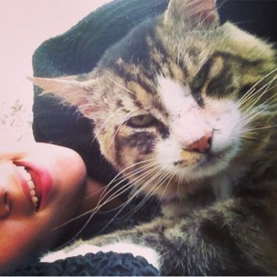 Inesssirl's profile picture. Innâ lillahi wa innâ ilayhi râji'ûn  🇩🇿