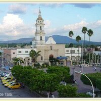 Ayuntamiento de Tala (@h_ayto_tala) 's Twitter Profile