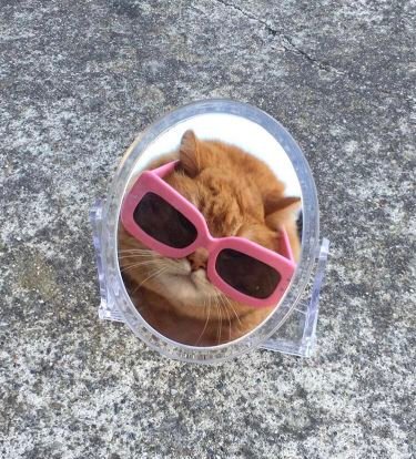 NebulaShop2's profile picture. ขายของสะสม / เปิดหารตามวาระ แอคเก่า @Rinranana_02 @gotmynumber02
📌รีวิว #RrnnRv 
📮อัพเดต #nebulashopupdate 
✨🙇‍♀️ สนใจสอบถามDM 
💸Thai Bank