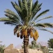 ab12345x's profile picture. 