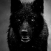 Manolo (@sabroso1977) Twitter profile photo Manolo (@sabroso1977) Twitter profile photo
