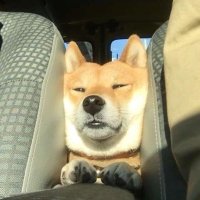 m (@mtmmnt) 's Twitter Profile