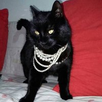 Marija Vukosavljević (@smorbaba) 's Twitter Profile