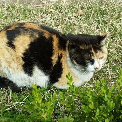 ATR1PYIeULe0jy1's profile picture. 할많하않