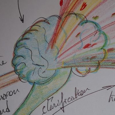 N_Wanaverbecq's profile picture. Electrophysiologist above all & Neurophysiologist. SpiCCI research focuses on interoception by characterizing interaction  between nervous system & CSF.
