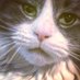 BettieAnn (@babrig) Twitter profile photo BettieAnn (@babrig) Twitter profile photo