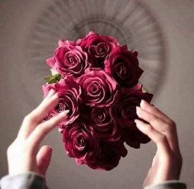 3f34f0fb08d84f9's profile picture. 