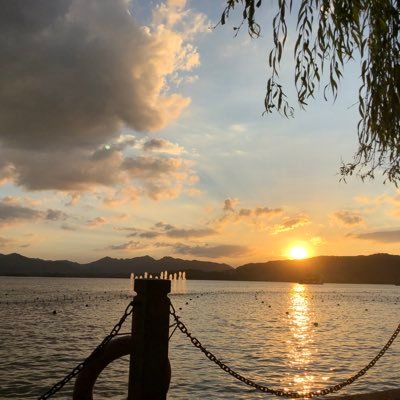 ayumeeen's profile picture. 会社員です。