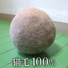 毛球さんのプロフィール画像