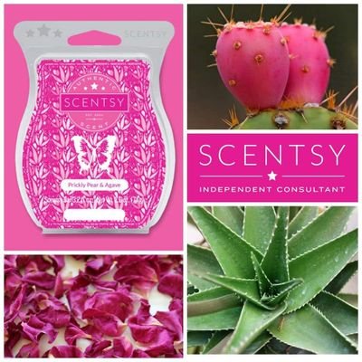 Looking for something new to try to make your home smell great? check out all the fragrances in my scentsy shop! 👇👇👇 https://t.co/PSDNkodNZj