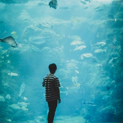 s_tomo19's profile picture. ほそぼそと写真撮ってます