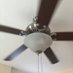 celling fan (@rothyrozay) Twitter profile photo celling fan (@rothyrozay) Twitter profile photo