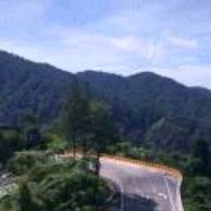 zack200602's profile picture. 🇨🇳🇨🇳🇨🇳🇨🇳🇨🇳