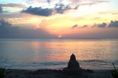 soderej's profile picture. 