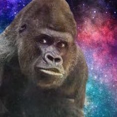 sogox5's profile picture. ふぉよするだけ！