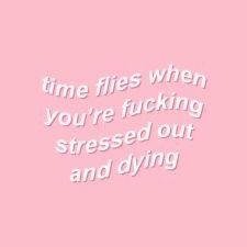 NovaSmol's profile picture. Hi