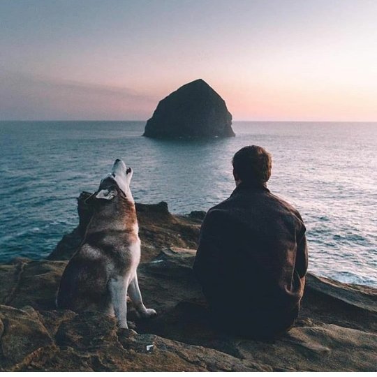 yar1nlar1m's profile picture. Bazıları gelip yarınlarımız, bazılarıda gelip yaralarımız olur.