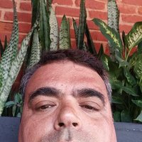 MauroD (@maurod99891837) 's Twitter Profile