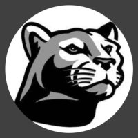 Pt Boro Softball (@ptborosoftball) 's Twitter Profile