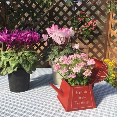 iNgcbKYdNwAkp85's profile picture. 介護福祉士。ヘルパーステーションでサ責やってます。特養、有料老人ホーム、グループホーム、小多機、看多機を経て、今はゆるっとバイクで訪問しております。