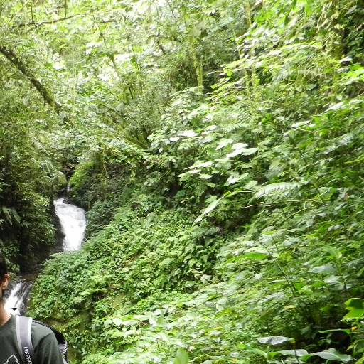 reachmeatny's profile picture. 