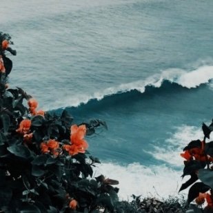 MiaLope62116288's profile picture. sups