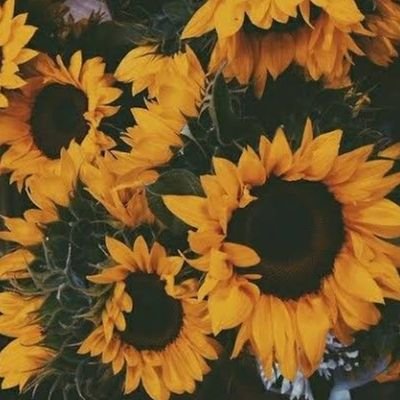 untilthehell's profile picture. Temporariamente desativado