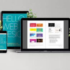 Our Digital Agency Offers Affordable Web Designing, Logo Designing, & SEO Services With Different Packages To Meet Every Pocket & Size Of Business