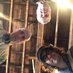 The Messthetics (@tmessthetics) Twitter profile photo The Messthetics (@tmessthetics) Twitter profile photo