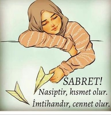 gllytfn's profile picture. 🍁