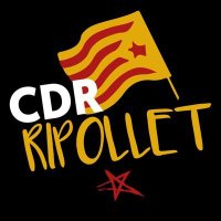 CDR Ripollet(@CDRRipollet) 's Twitter Profile Photo
