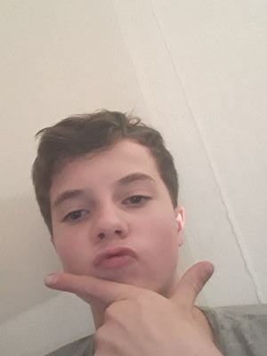 Louis Le Pion Profile