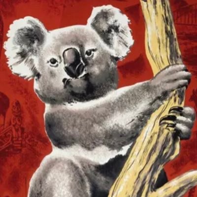 Sean08247's profile picture. #btc