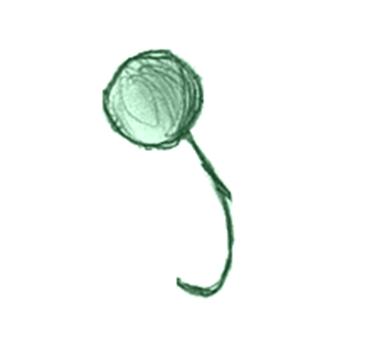 lemnarama's profile picture. social game x social business x open money x open source