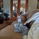 Bryan Daley - @DaleyBryan - Twitter