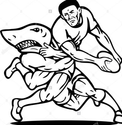 AnonymousShark5's profile picture. a shark in the wild. commenting on the Sale Sharks (my teeth brothers). no personal tweets here! Incognito Ninja Shark