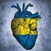 MarceloR (@marcelowr69) 's Twitter Profile