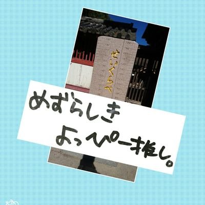 甘いもの大好き。最近は週末になると何かしらライブやイベントに参加してる気がします。好きな声優は青山吉能さん。好きなアーティストは解散してもKalafinaとWake Up, Girls!。