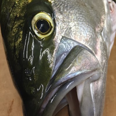 tsubasaweb1's profile picture. 元営業のwebエンジニアになった人 日々の学習などを呟きます。