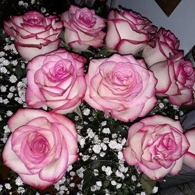 TeresaS22303457's profile picture. Me gusta compartir con los demas.