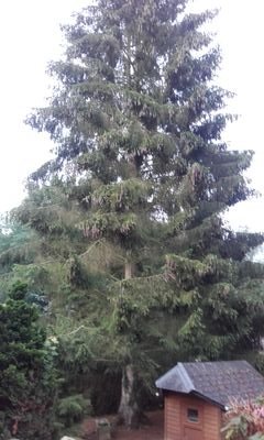 Avesnois761's profile picture. 