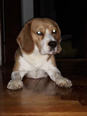 MarkicUros's profile picture. 