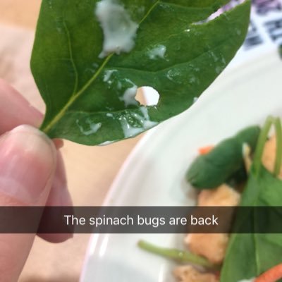 ra_moments's profile picture. DM all of your best, funniest, most embarrassing RA stories to be featured on this collective page - follow if you’re an RA - you understand this life