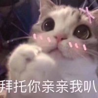 猫也 (@yikeliwww) Twitter profile photo