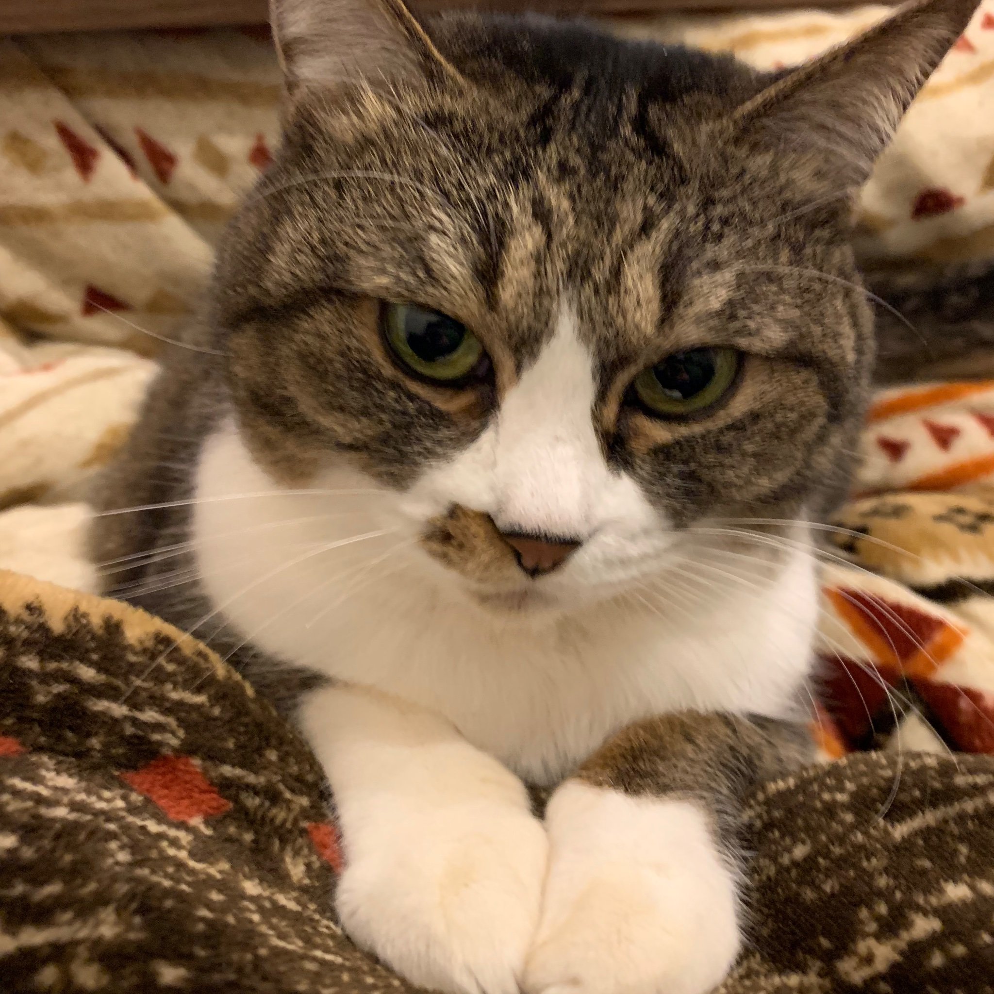 fk4JSfcQE7WMOwR's profile picture. 