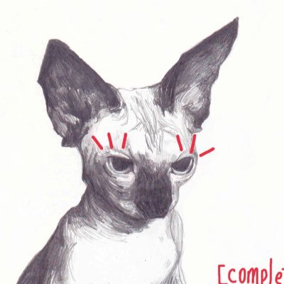kiraさんのプロフィール画像