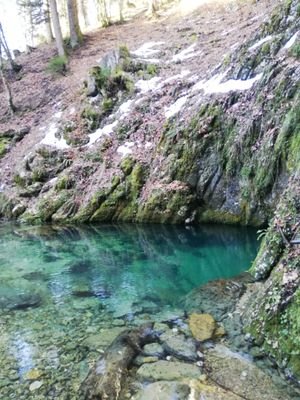 Jucoul1's profile picture. 