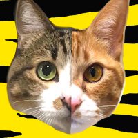 香川久 Hisashi Kagawa (@danngodaisuki) 's Twitter Profile Photo 香川久 Hisashi Kagawa (@danngodaisuki) 's Twitter Profile Photo